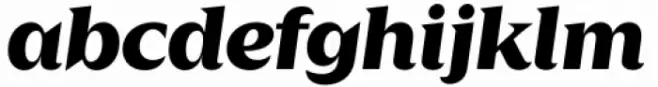 Zin Display Extended Black Italic