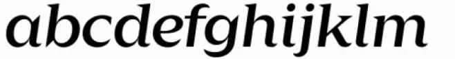 Zin Display Extended Medium Italic