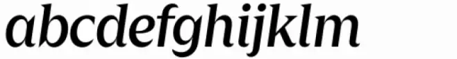 Zin Display Medium Italic