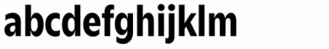 Zin Sans Condensed Bold