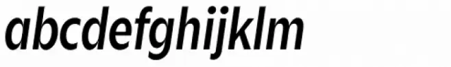 Zin Sans Condensed Medium Italic