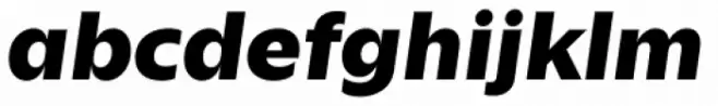 Zin Sans Extended Black Italic