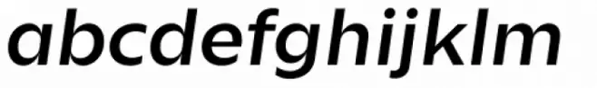 Zin Sans Extended Medium Italic