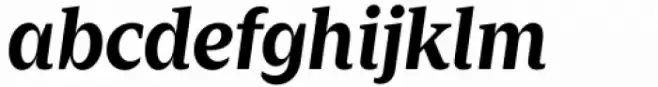 Zin Serif Bold Italic