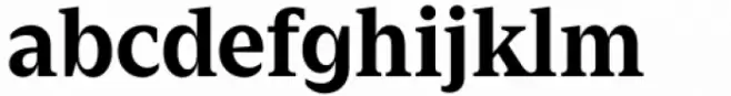 Zin Serif Bold