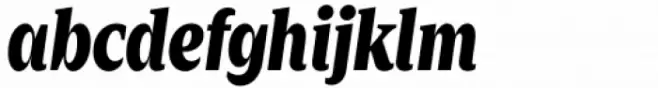 Zin Serif Condensed Black Italic