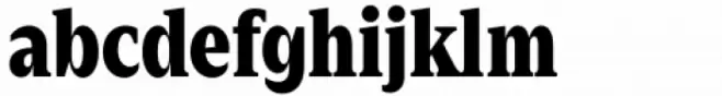 Zin Serif Condensed Black