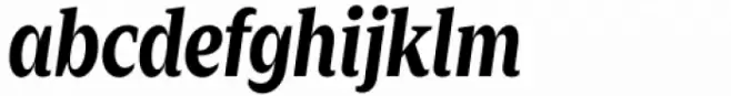 Zin Serif Condensed Bold Italic