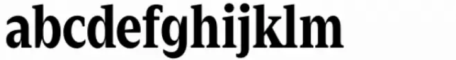 Zin Serif Condensed Bold