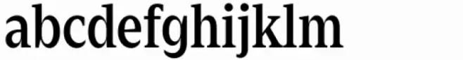 Zin Serif Condensed Demo