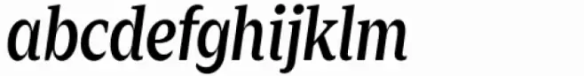Zin Serif Condensed Medium Italic