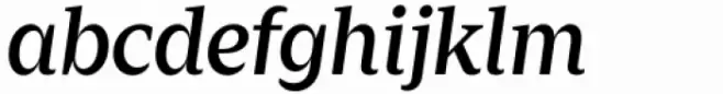 Zin Serif Medium Italic