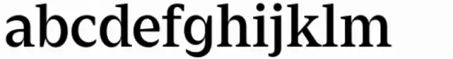 Zin Serif Medium