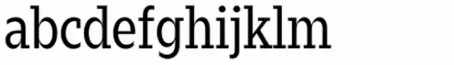 Zin Slab Condensed Regular