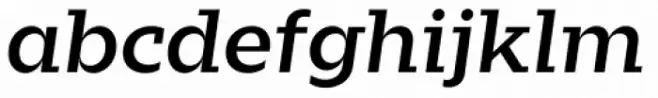 Zin Slab Extended Medium Italic