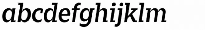 Zin Slab Medium Italic