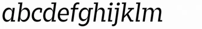 Zin Slab Regular Italic