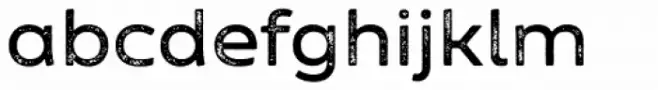 Zing Sans Rust Semibold Base Grunge