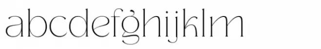 Zitter Thin