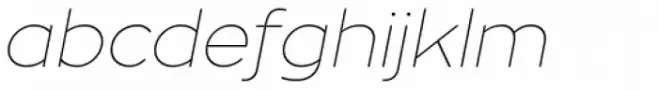 Zona Pro Hairline Italic