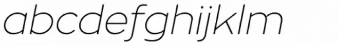 Zona Pro Thin Italic