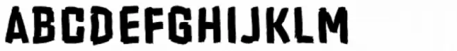 Zond Diktat Bold