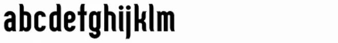 Zoo 300 Bold