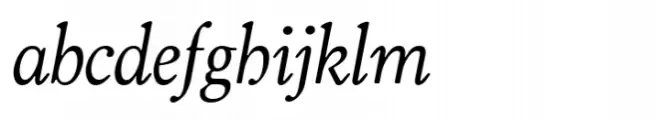 ZT Bros Oskon 90 s Medium Semi Expanded Italic