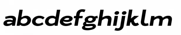 Zt Nezto Bold Italic