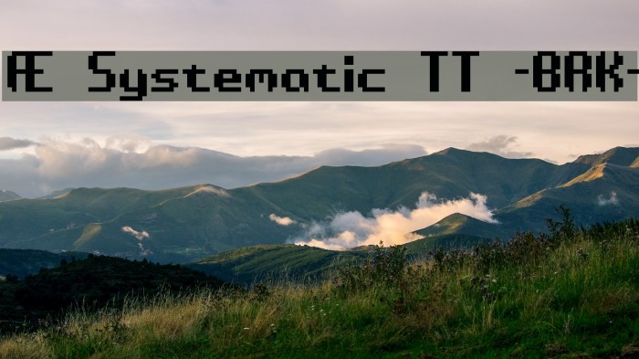 Æ Systematic TT -BRK- フォント examples