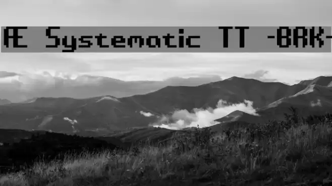 Æ Systematic TT -BRK- フォント examples