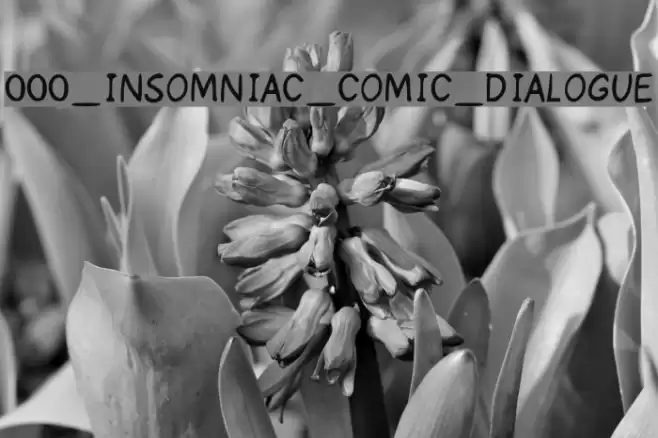 000_INSOMNIAC_COMIC_DIALOGUE Schriftart examples