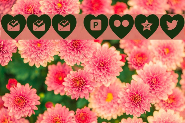 000 フォント examples