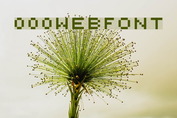 000webfont फ़ॉन्ट examples