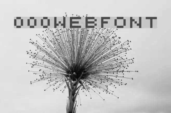 000webfont Font examples