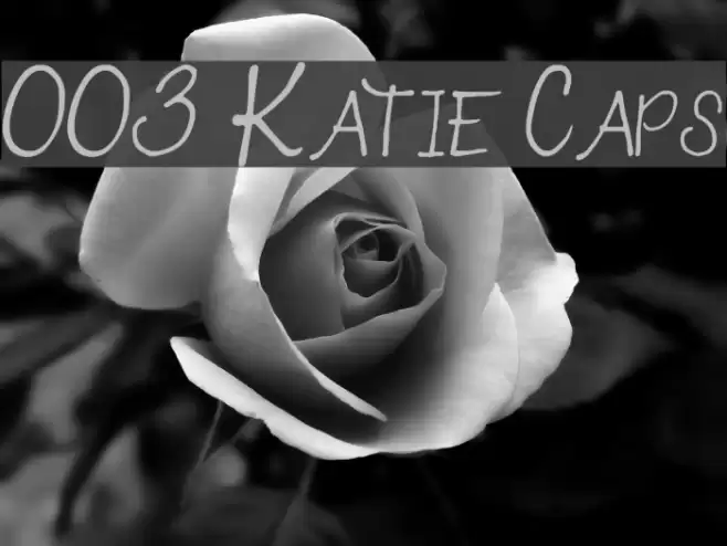 003 Katie Caps Schriftart examples