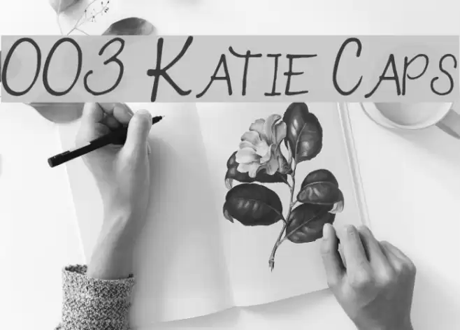 003 Katie Caps Schriftart examples