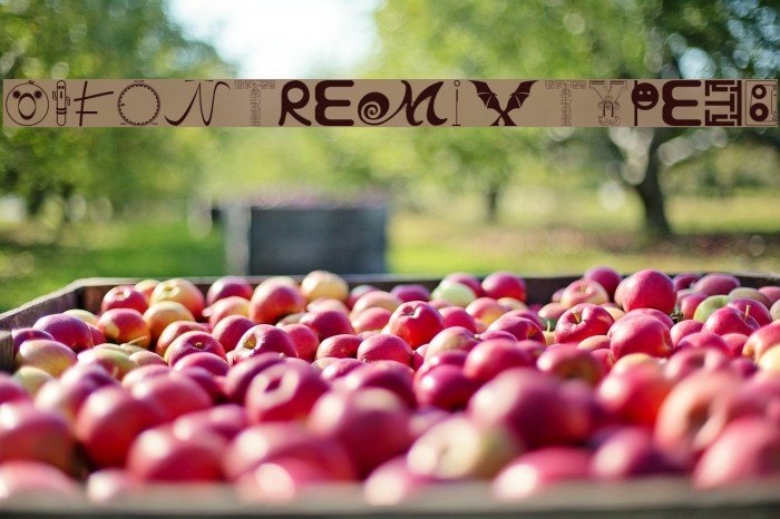 01FontremixType38 Example 1