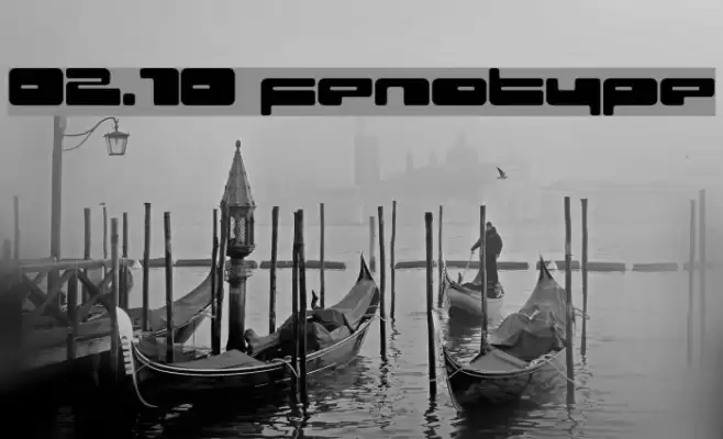 02.10 fenotype Fuentes examples
