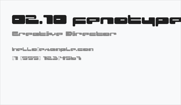 02.10 fenotype Business Card