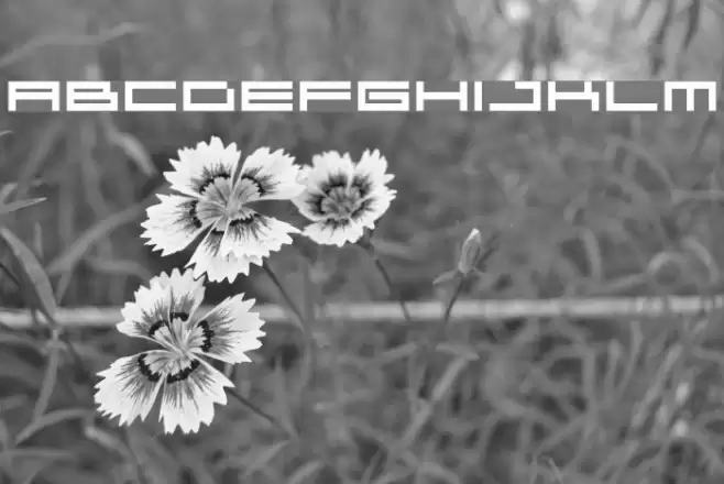 04b 31 Font examples