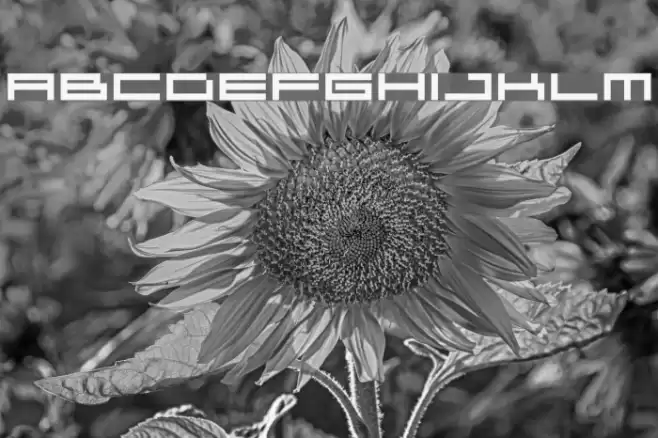 04b 31 Font examples