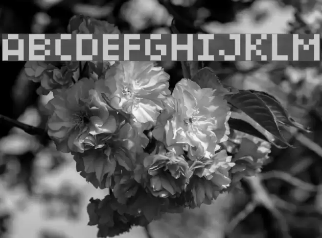 04b03rev Font examples