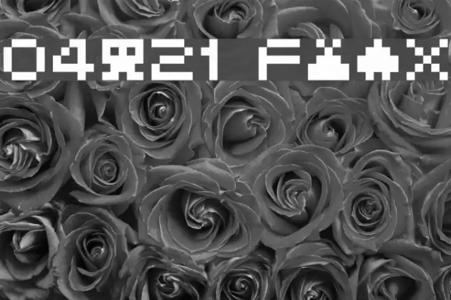 04b21 Font examples