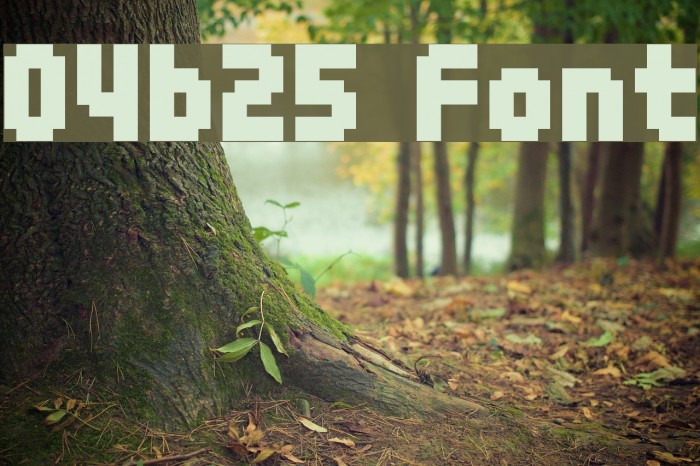04b25 Polices examples