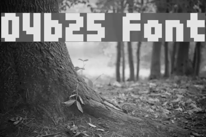 04b25 Polices examples