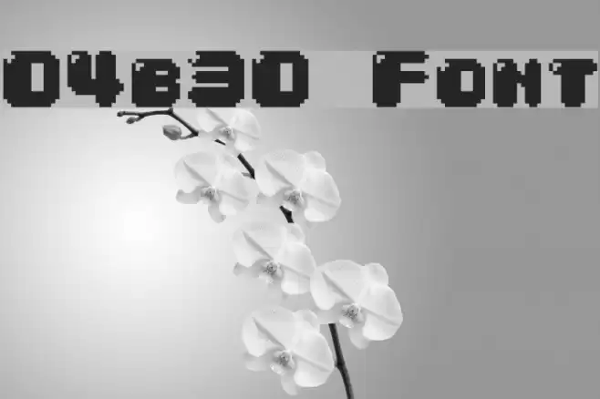 04b30 Polices examples