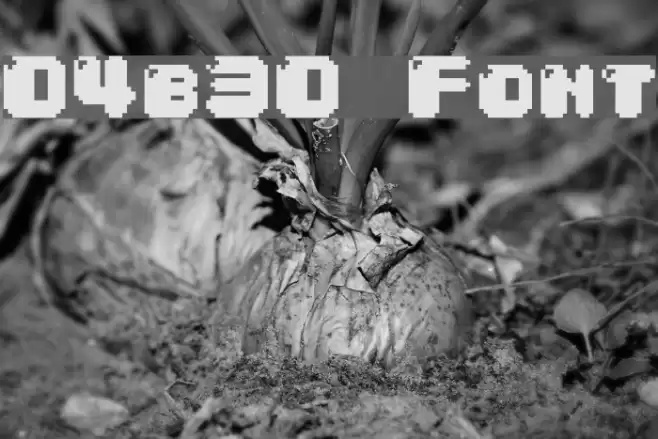 04b30 Polices examples