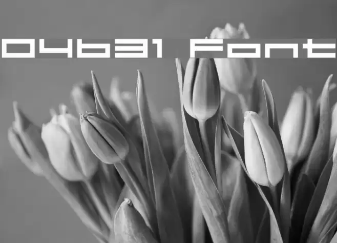 04b31 फ़ॉन्ट examples