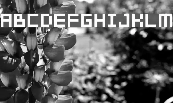 04b_03b Fuentes examples